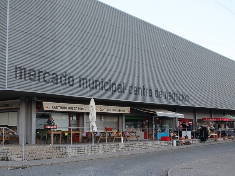 _mercado municipal site